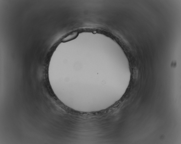 X0000089441208200707131859
