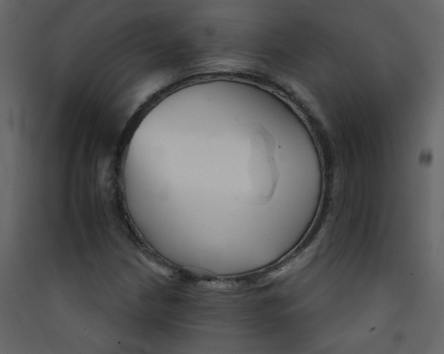 X0000089441210200707131859