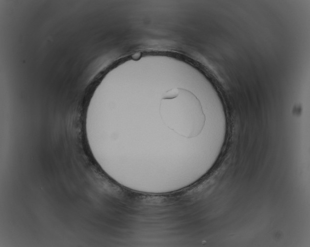 X0000089441211200707131859