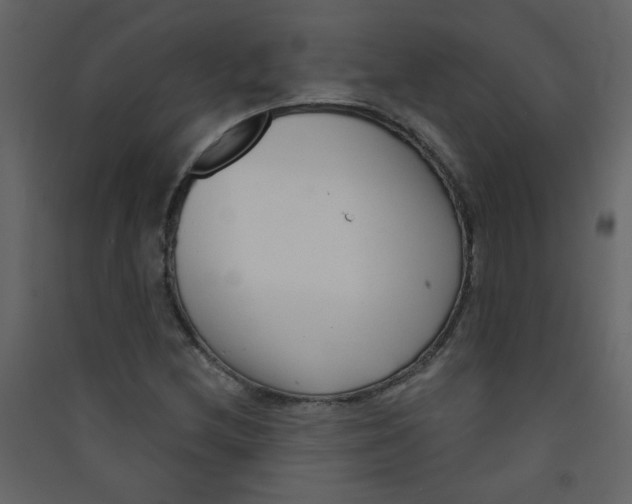 X0000089441212200707131859