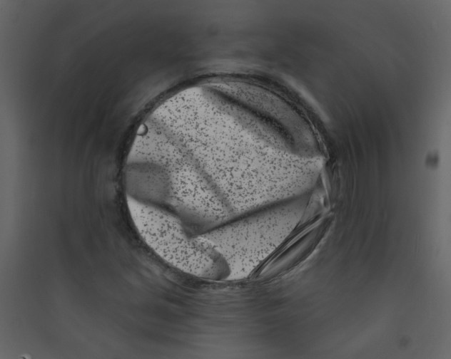 X0000089441213200707131859