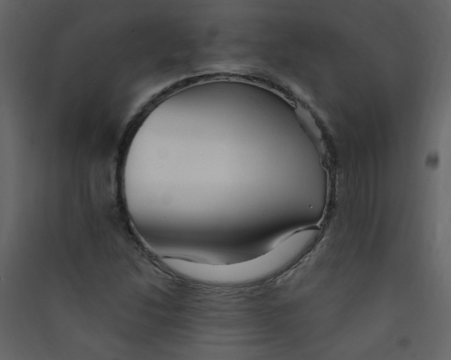 X0000089441214200707131859
