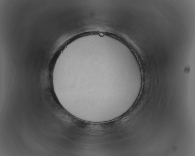 X0000089441215200707131859