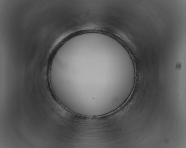 X0000089441216200707131859