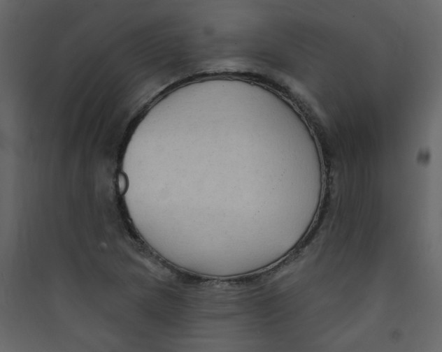X0000089441217200707131859