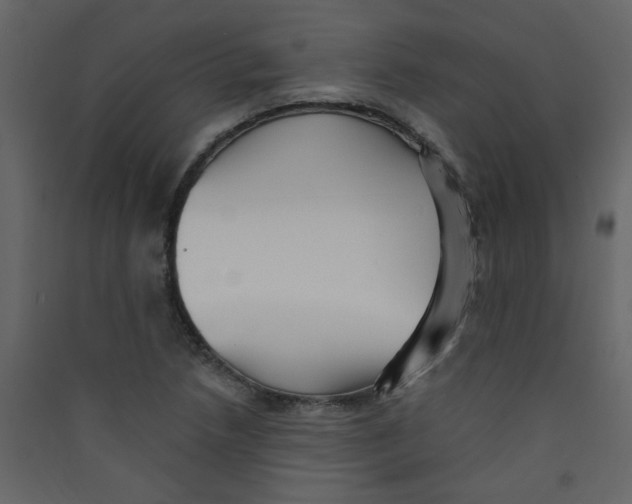 X0000089441218200707131859