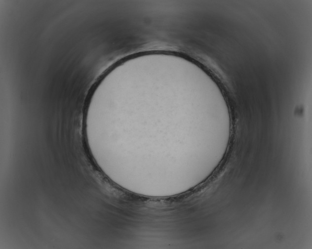 X0000089441220200707131859
