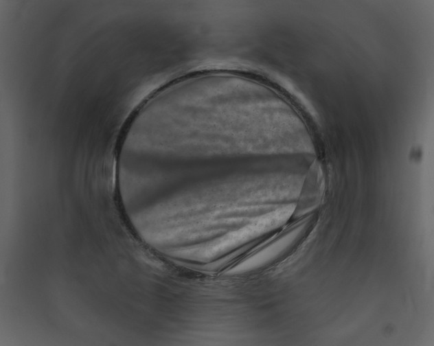 X0000089441221200707131859