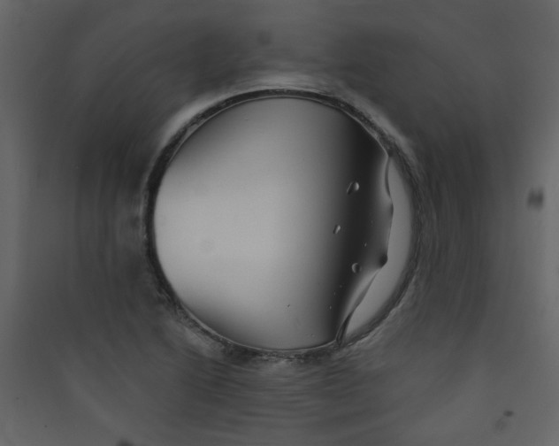 X0000089441222200707131859