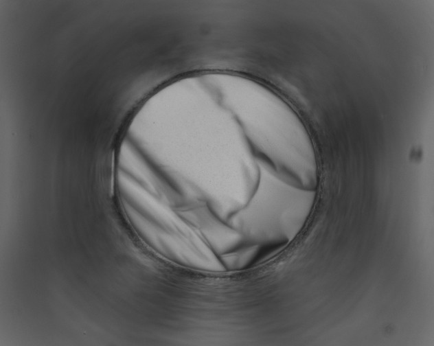 X0000089441223200707131859