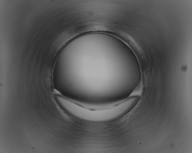 X0000089441225200707131859