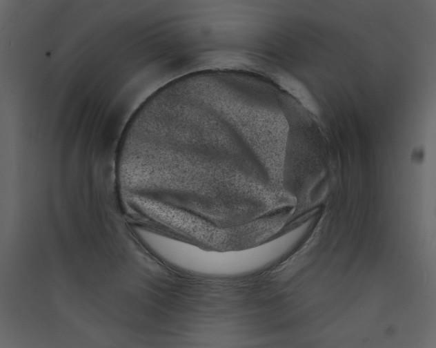 X0000089441226200707131859