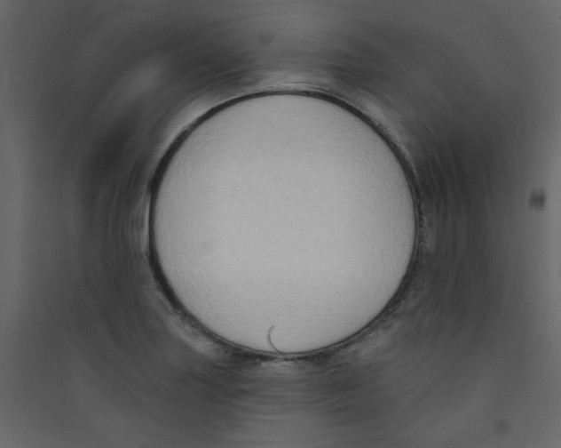 X0000089441227200707131859