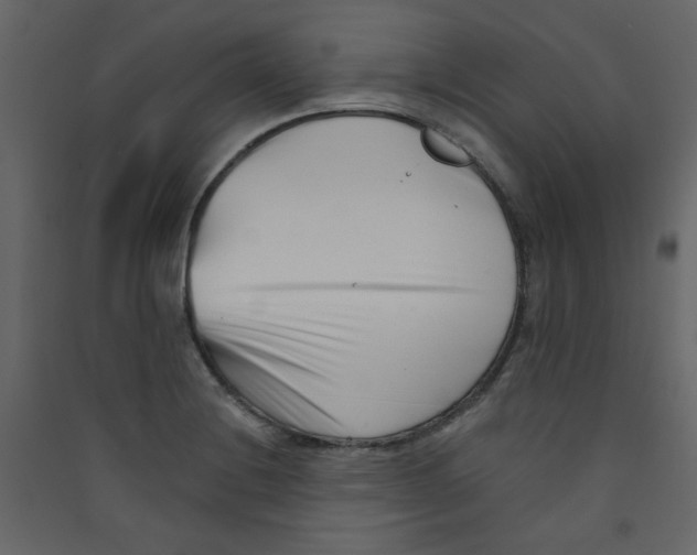 X0000089441228200707131859