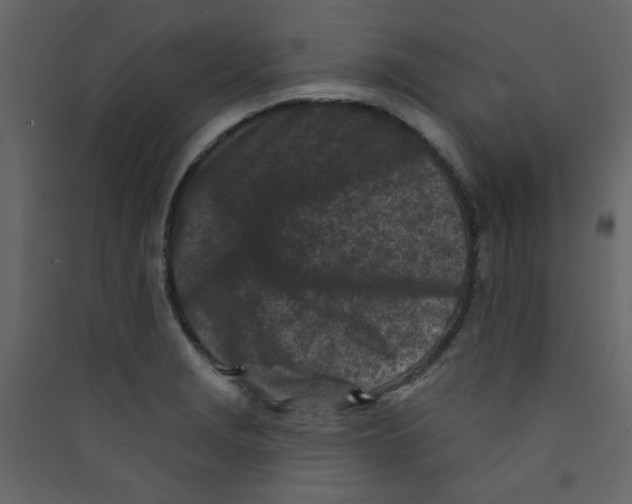X0000089441229200707131859