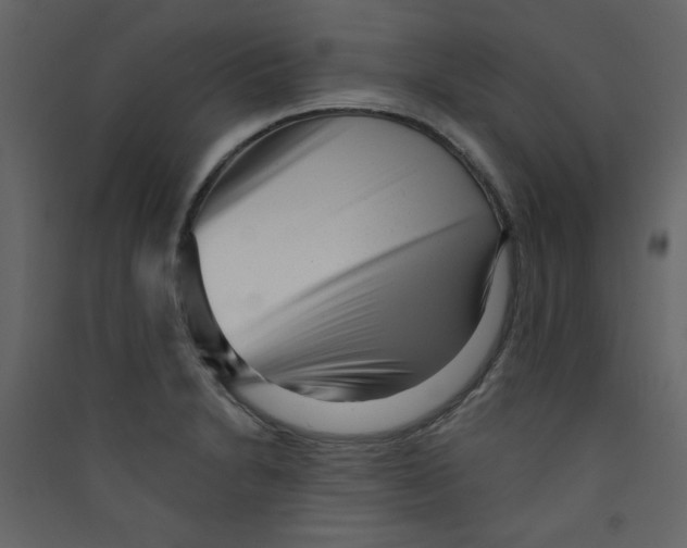 X0000089441230200707131859