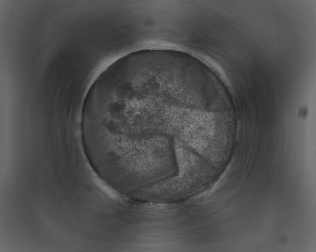 X0000089441231200707131859