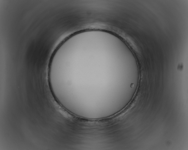 X0000089441232200707131859