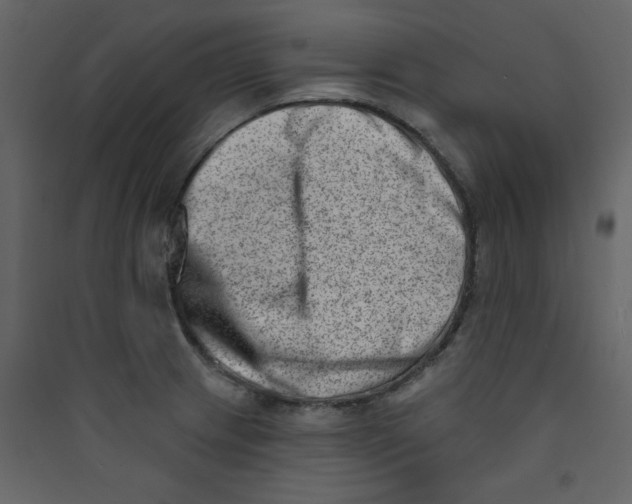 X0000089441233200707131859