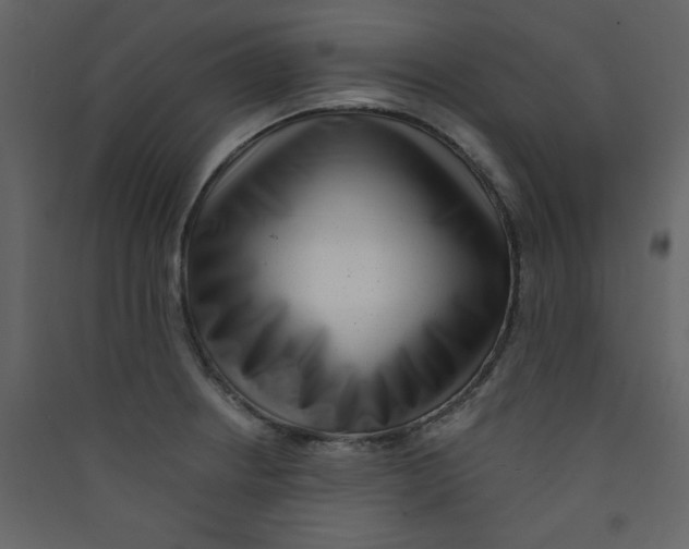 X0000089441234200707131859