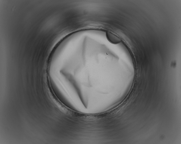 X0000089441235200707131859