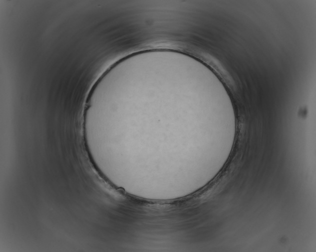 X0000089441236200707131859