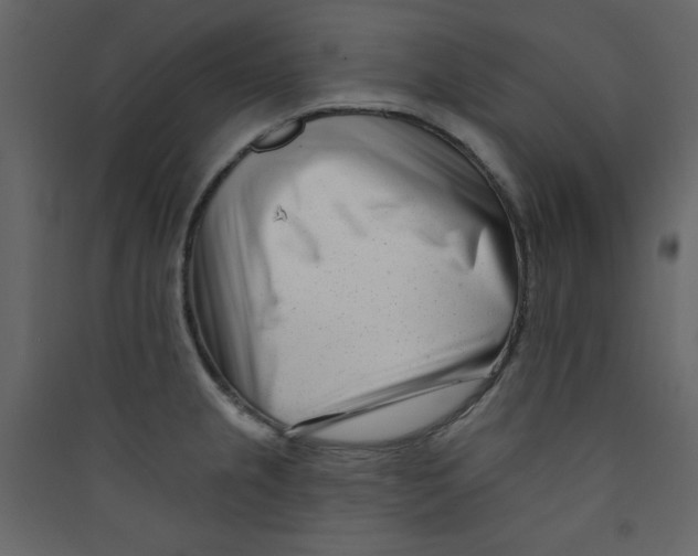 X0000089441237200707131859