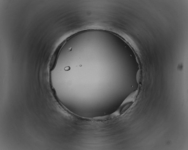 X0000089441238200707131859