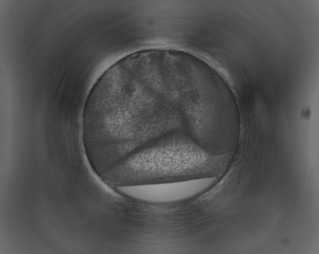 X0000089441239200707131859