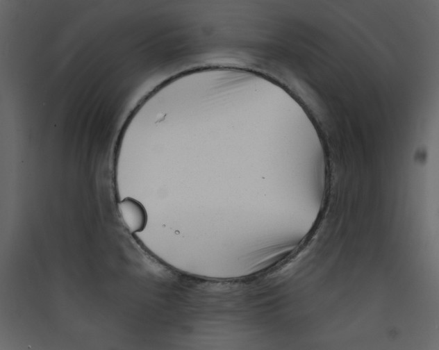 X0000089441240200707131859