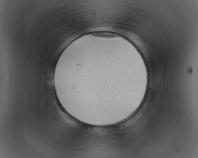 X0000089441241200707131859