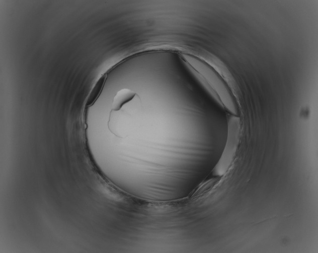 X0000089441242200707131859