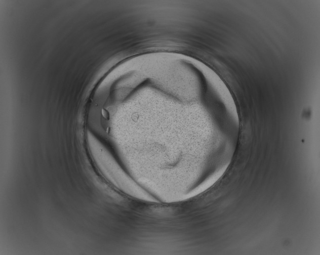 X0000089441243200707131859