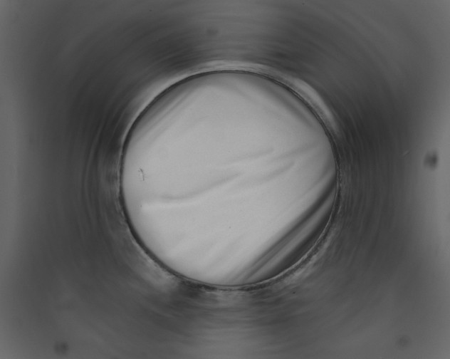 X0000089441244200707131859