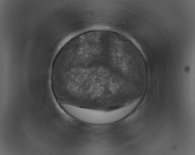 X0000089441245200707131859