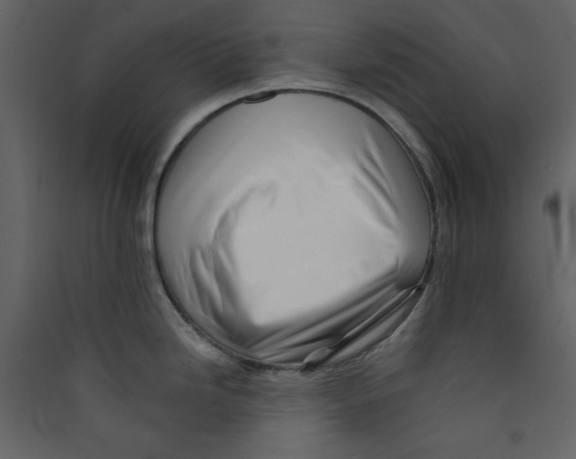X0000089441246200707131859