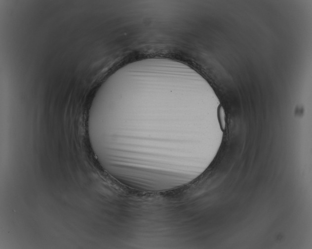 X0000089441250200707131858