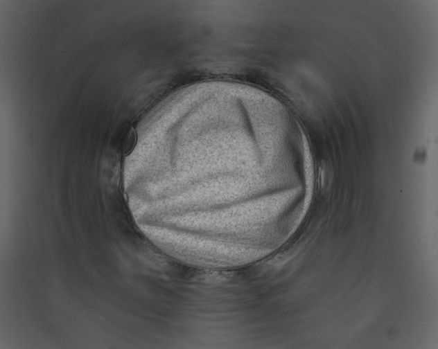 X0000089441251200707131858