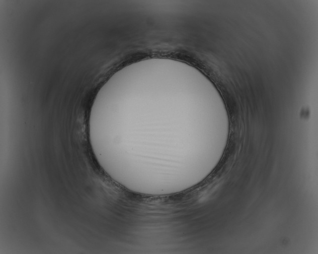 X0000089441252200707131858
