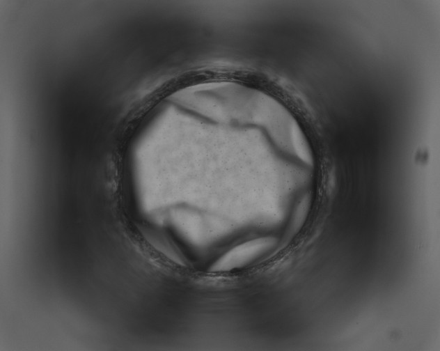 X0000089441253200707131858