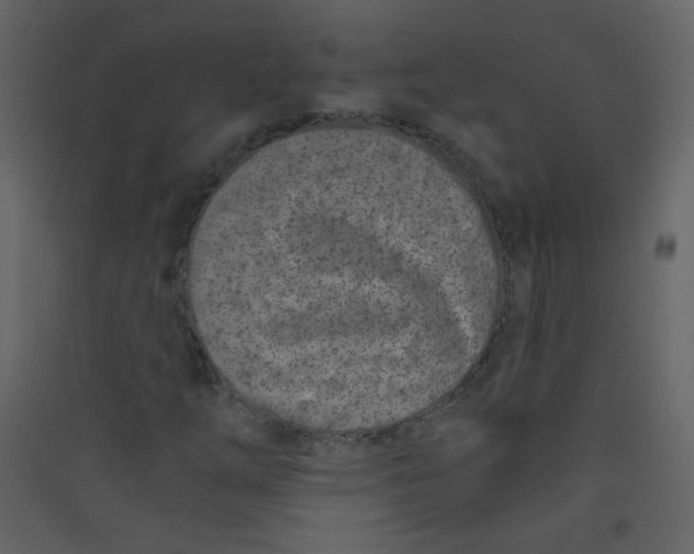 X0000089441254200707131858