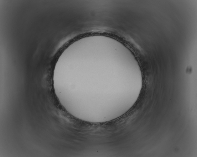 X0000089441256200707131858