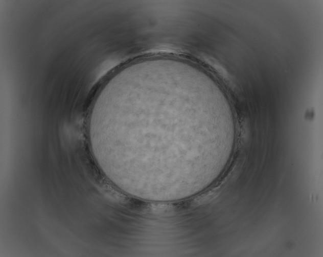 X0000089441258200707131858