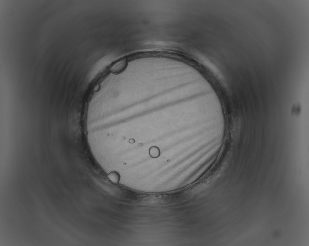 X0000089441259200707131858