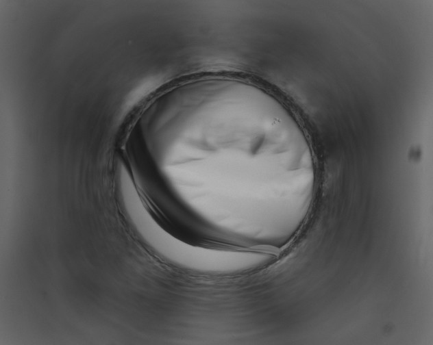 X0000089441261200707131858