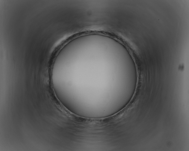 X0000089441262200707131858