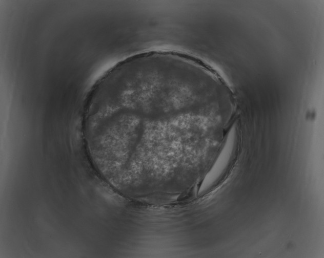 X0000089441263200707131858