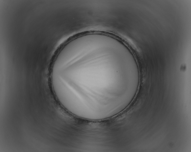 X0000089441264200707131858