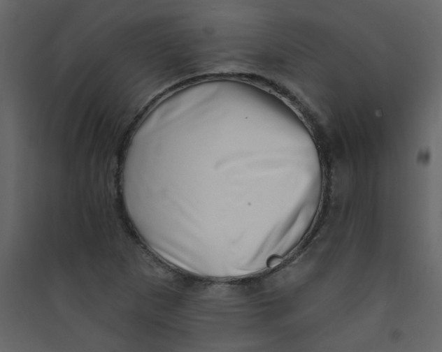 X0000089441265200707131858