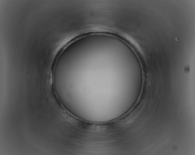 X0000089441269200707131858